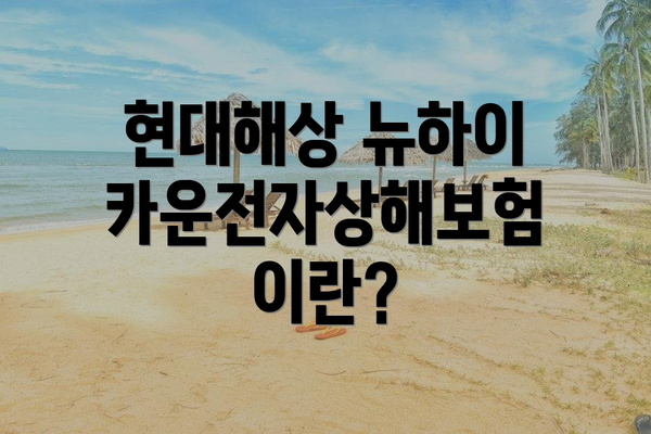 현대해상 뉴하이카운전자상해보험이란?