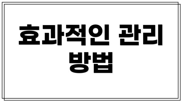 효과적인 관리 방법