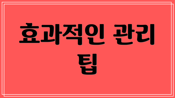 효과적인 관리 팁
