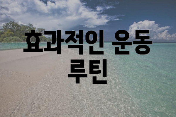효과적인 운동 루틴