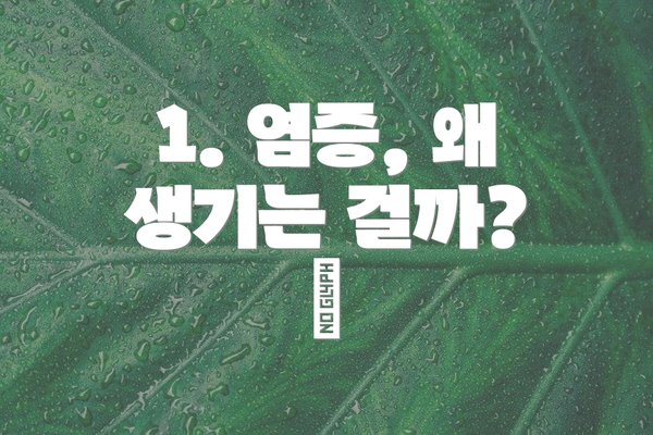 1. 염증, 왜 생기는 걸까? 🤔