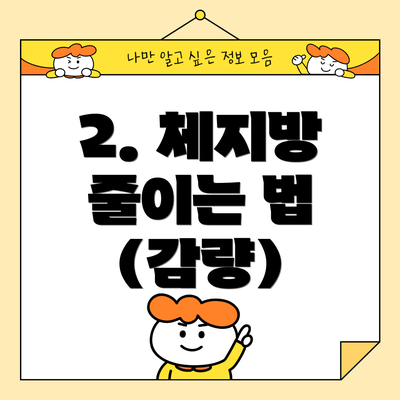 2. 체지방 줄이는 법 (감량)