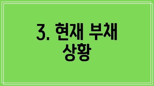 3. 현재 부채 상황