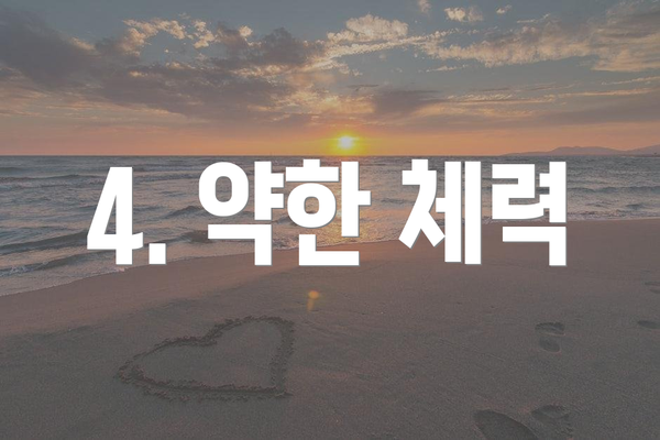 4. 약한 체력