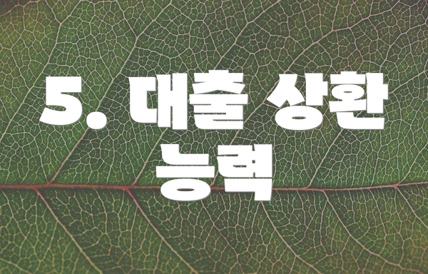 5. 대출 상환 능력
