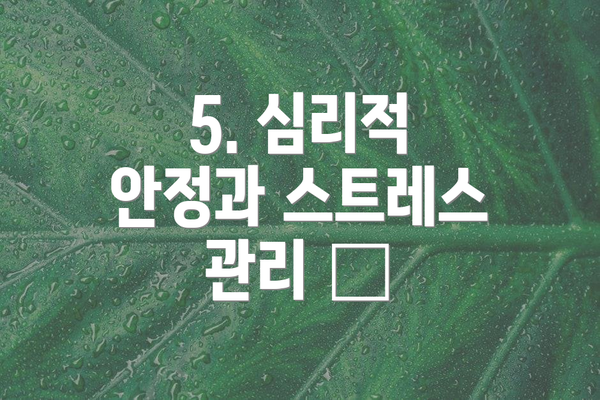 5. 심리적 안정과 스트레스 관리 😌