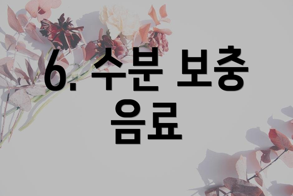 6. 수분 보충 음료