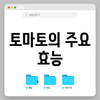 토마토의 주요 효능