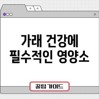 가래 건강에 필수적인 영양소