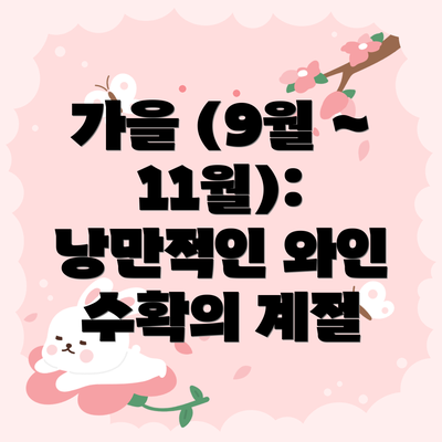 가을 (9월 ~ 11월): 낭만적인 와인 수확의 계절