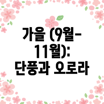 가을 (9월-11월): 단풍과 오로라