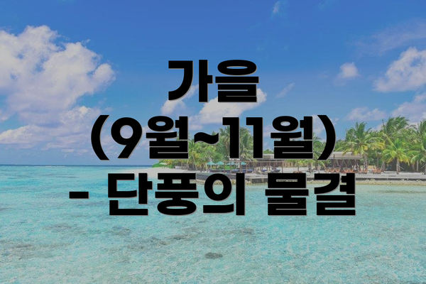 가을 (9월~11월) - 단풍의 물결