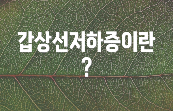 갑상선저하증이란?
