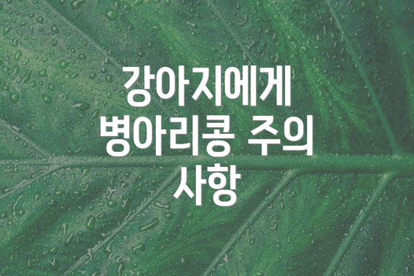 강아지에게 병아리콩 주의 사항