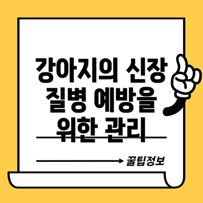 강아지의 신장 질병 예방을 위한 관리