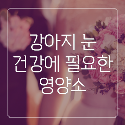 강아지 눈 건강에 필요한 영양소