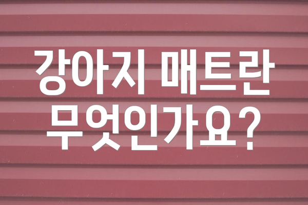 강아지 매트란 무엇인가요?