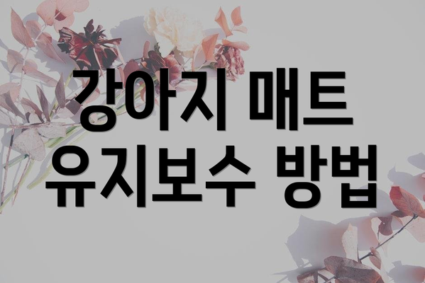 강아지 매트 유지보수 방법