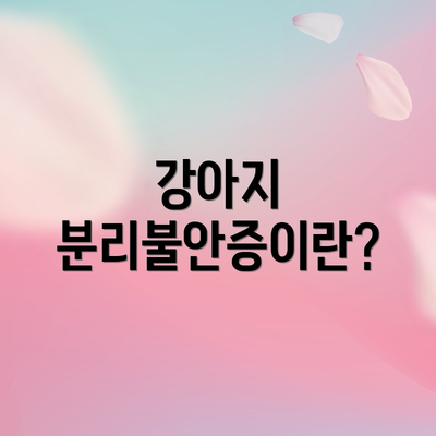강아지 분리불안증이란?