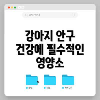 강아지 안구 건강에 필수적인 영양소