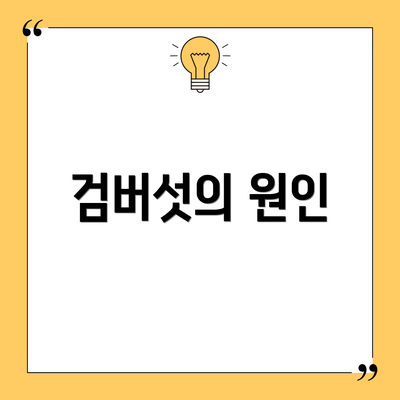 검버섯의 원인