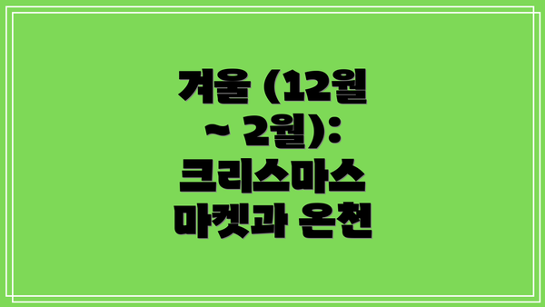 겨울 (12월 ~ 2월): 크리스마스 마켓과 온천