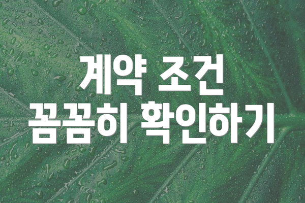 계약 조건 꼼꼼히 확인하기