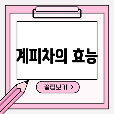계피차의 효능