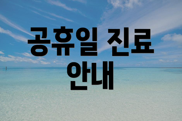 공휴일 진료 안내