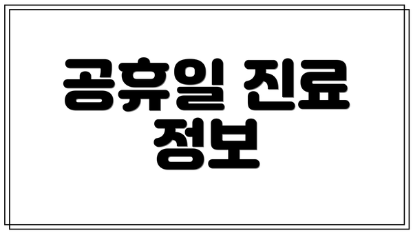 공휴일 진료 정보