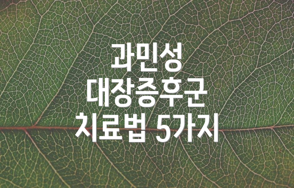 과민성 대장증후군 치료법 5가지