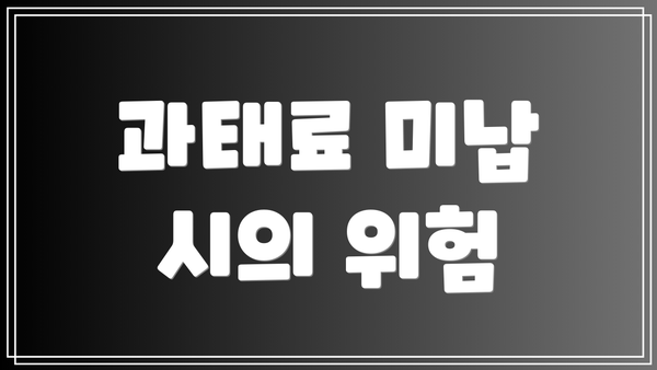 과태료 미납 시의 위험