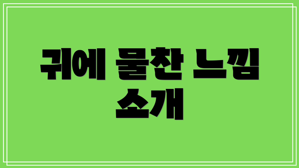 귀에 물찬 느낌 소개