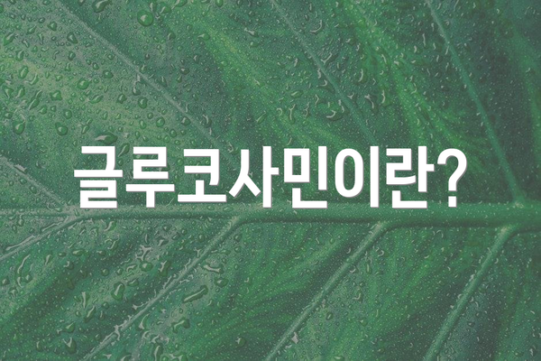 글루코사민이란?