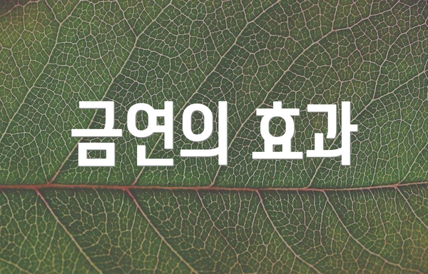 금연의 효과