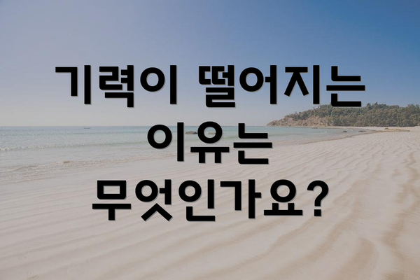 기력이 떨어지는 이유는 무엇인가요?