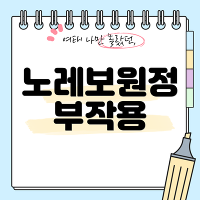 노레보원정 부작용