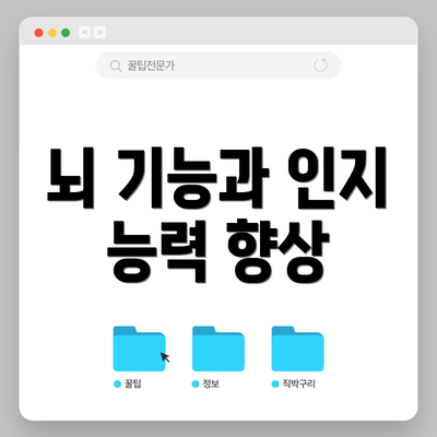 뇌 기능과 인지 능력 향상