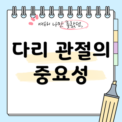 다리 관절의 중요성