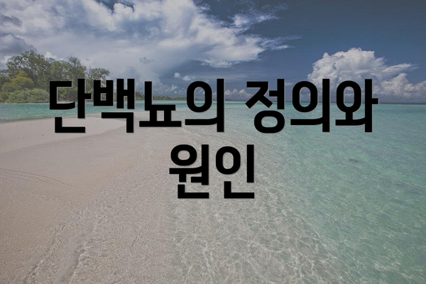 단백뇨의 정의와 원인