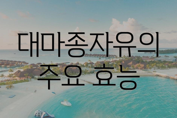 대마종자유의 주요 효능