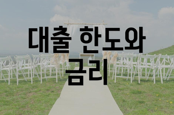 대출 한도와 금리