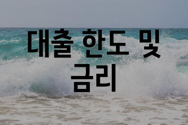 대출 한도 및 금리