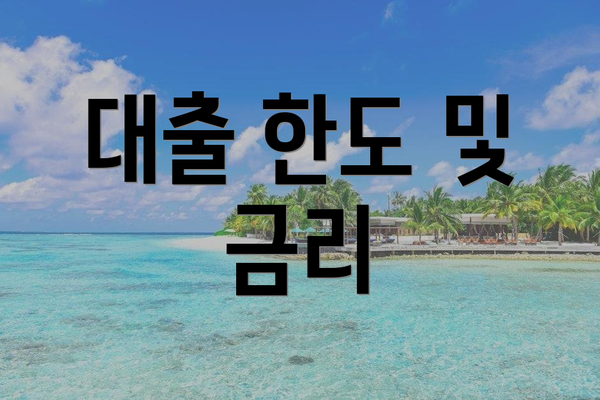 대출 한도 및 금리