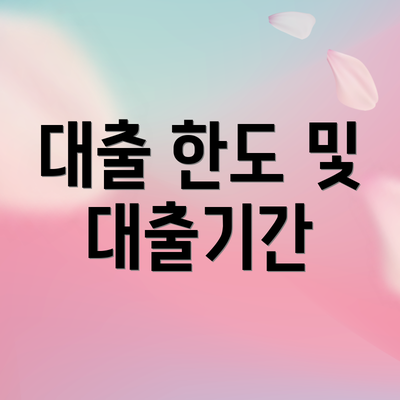 대출 한도 및 대출기간