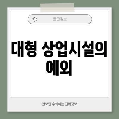 대형 상업시설의 예외