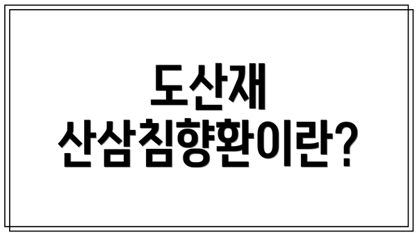 도산재 산삼침향환이란?