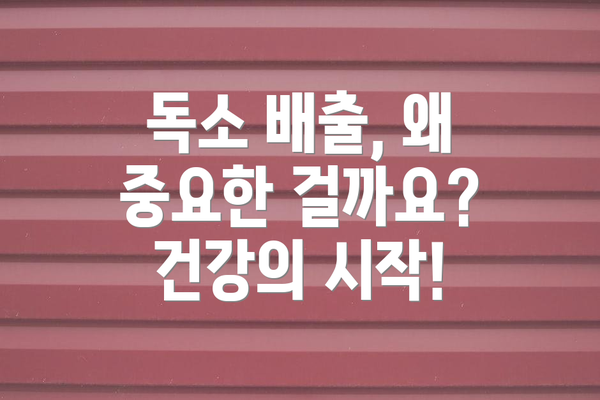 독소 배출, 왜 중요한 걸까요? 건강의 시작!