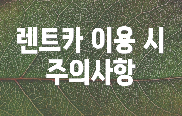 렌트카 이용 시 주의사항