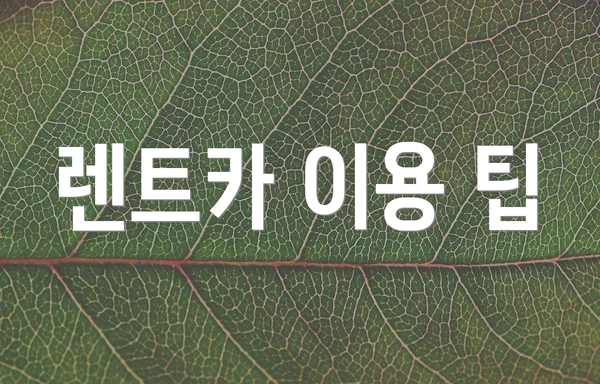 렌트카 이용 팁